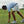 Clayton Natural Performance Golf Short - Light Grey