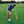First Light Long Sleeve Polo
